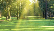 Desmond Funeral Home